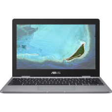 Ноутбук ASUS Chromebook C223NA (C223NA-GJ0055)