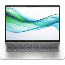 Ноутбук HP ProBook 445 G11 Pike Silver (AD0T5ET)