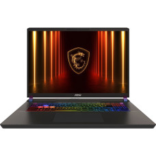 Ноутбук MSI Vector 17 HX AI A2XWIG Cosmos Gray (9S7-17S372-043, A2XWIG-043UA) 