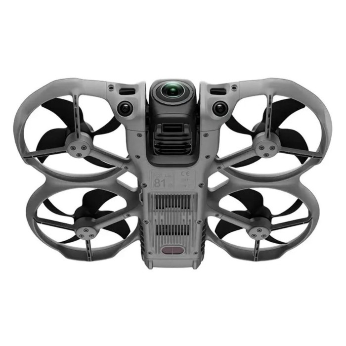 Квадрокоптер DJI Avata 360 Fly More Combo DJI RC 2 (CP.FP.00000317.01, CP.FP.00000317.04)